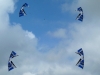 The Flying Squad at Oostende