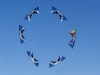 Formation Kite Flying at Berck Sur Mer Kite Festival