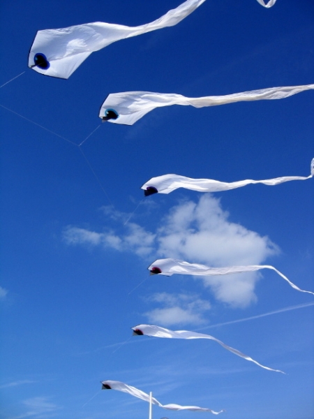 Serpent Delta kites