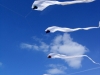 Serpent Delta kites